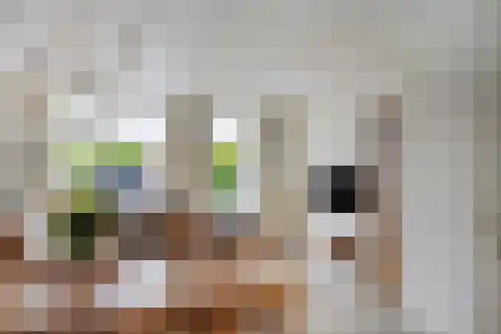 Kapellerhof 31 Roermond thumbnail 13
