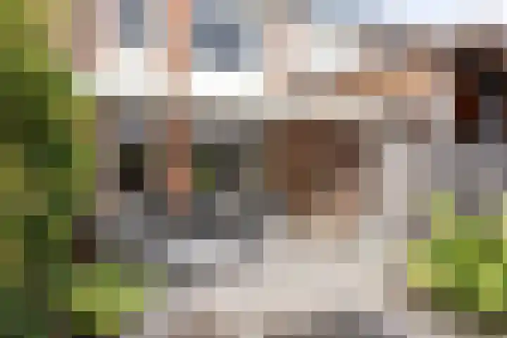 Kapellerhof 31 Roermond thumbnail 23