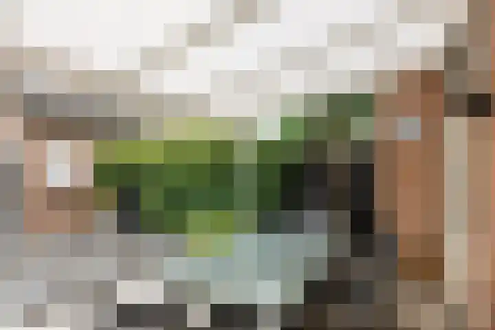 Kapellerhof 31 Roermond thumbnail 24