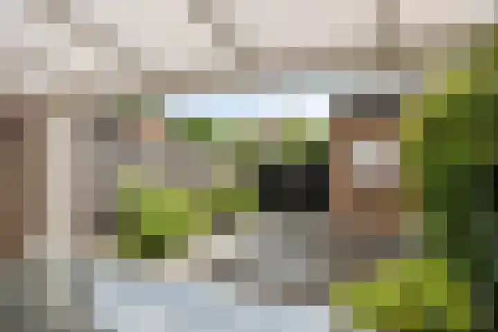 Kapellerhof 31 Roermond thumbnail 27