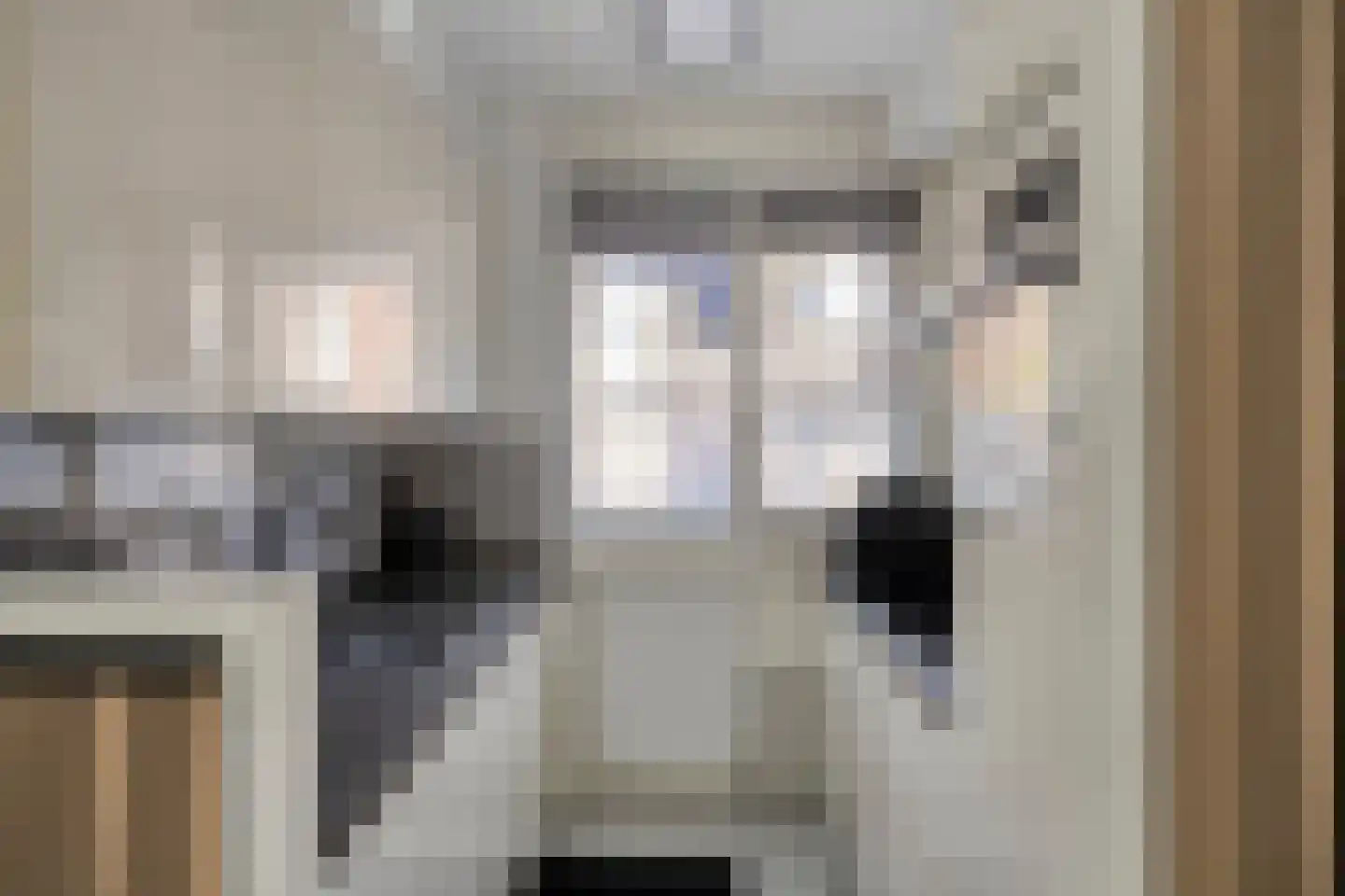 Kapellerhof 55 Roermond thumbnail 17