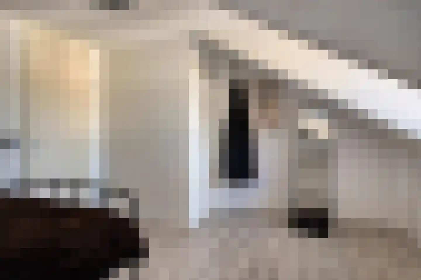 Kapellerhof 55 Roermond thumbnail 31