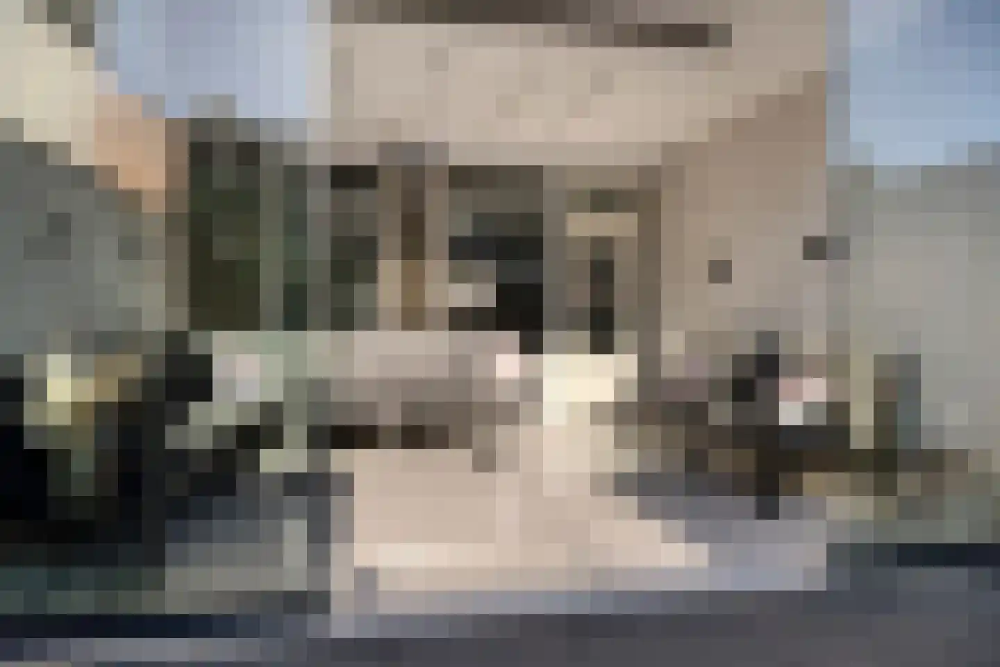 Kapellerhof 55 Roermond thumbnail 34