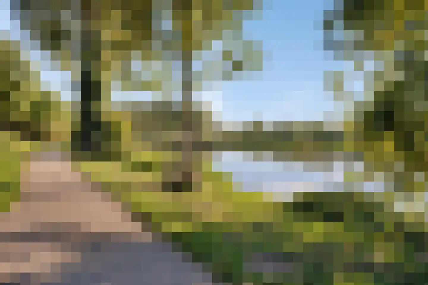 Kapellerhof 55 Roermond thumbnail 41
