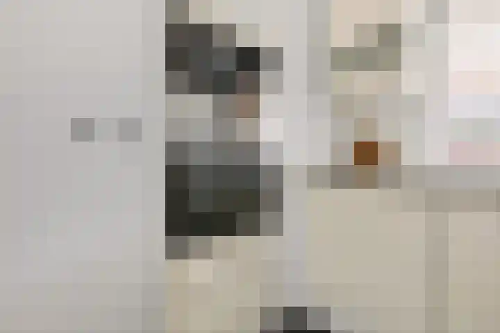 Kapellerhof 64 Roermond thumbnail 12