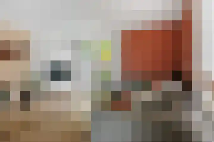 Kapellerhof 64 Roermond thumbnail 14