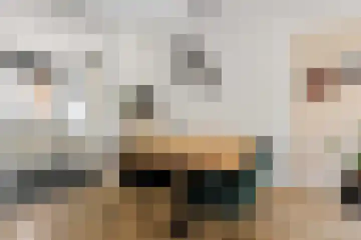 Kapellerhof 64 Roermond thumbnail 15