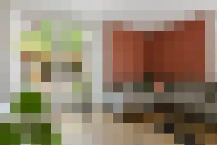 Kapellerhof 64 Roermond thumbnail 17