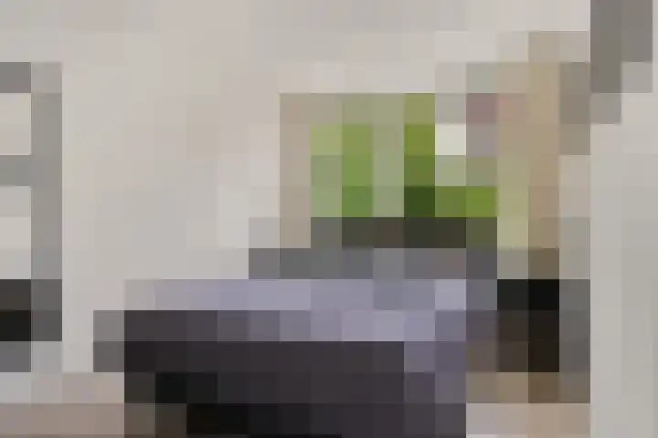 Kapellerhof 64 Roermond thumbnail 25