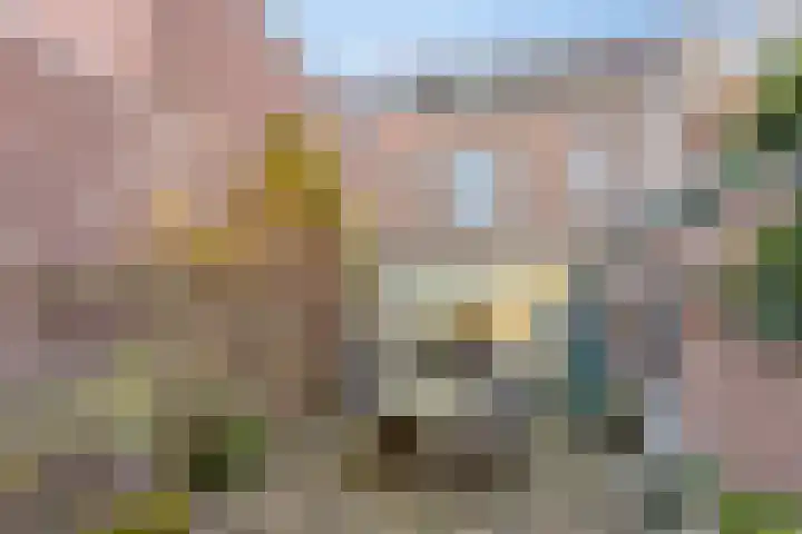 Kapellerlaan 149 Roermond thumbnail 29