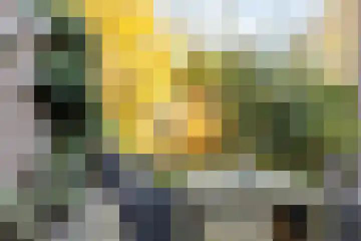 Kapellerlaan 149 Roermond thumbnail 30
