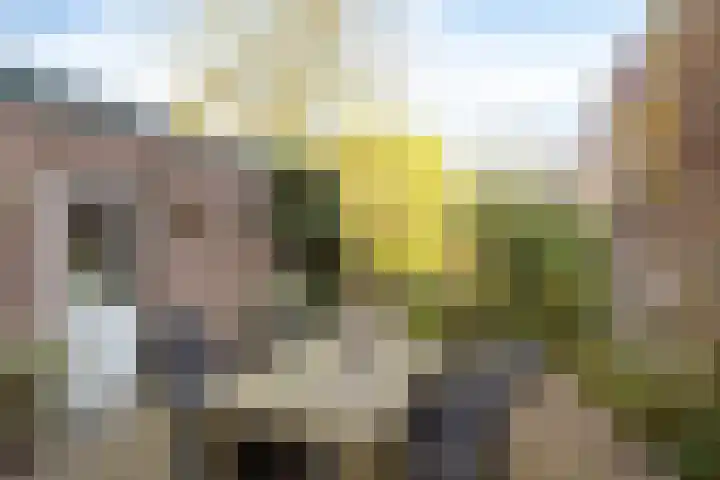 Kapellerlaan 149 Roermond thumbnail 31