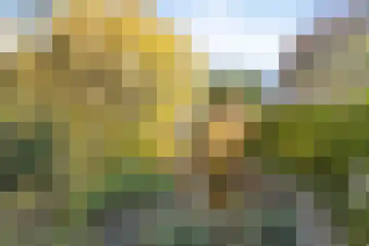 Kapellerlaan 149 Roermond thumbnail 32
