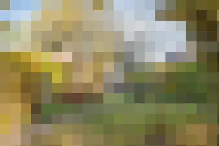Kapellerlaan 149 Roermond thumbnail 33