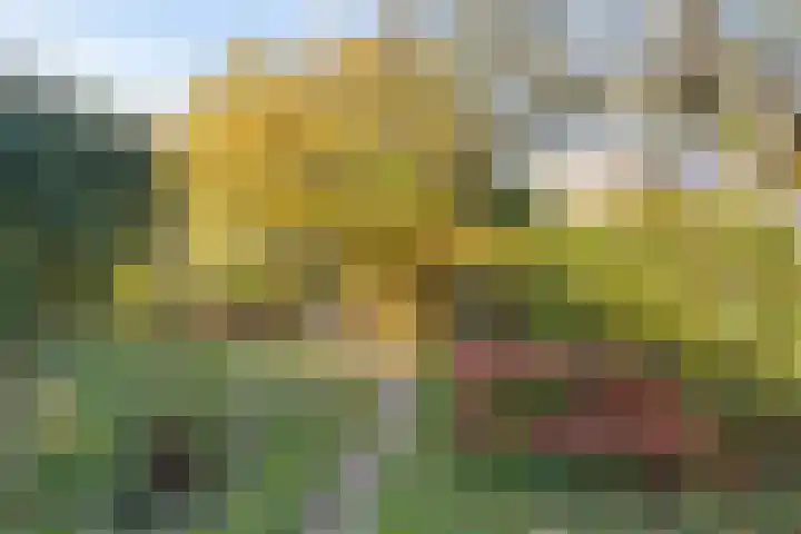 Kapellerlaan 149 Roermond thumbnail 34