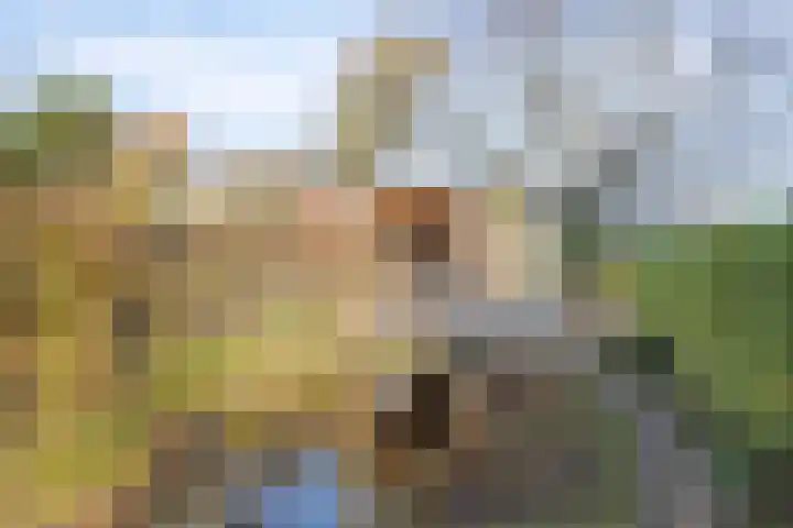 Kapellerlaan 149 Roermond thumbnail 35