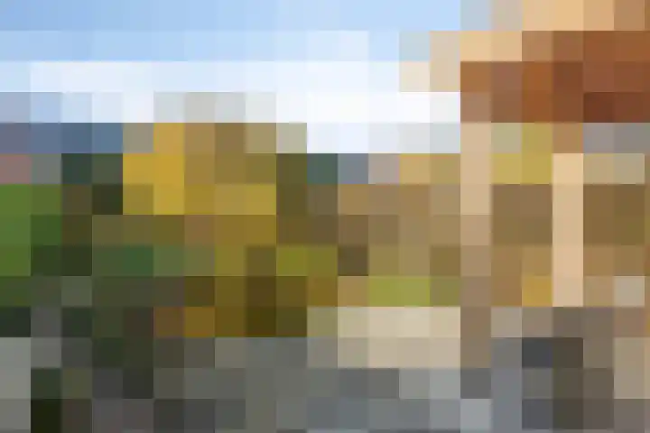 Kapellerlaan 149 Roermond thumbnail 39
