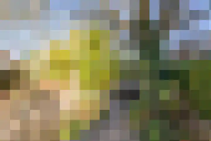 Kapellerlaan 149 Roermond thumbnail 40