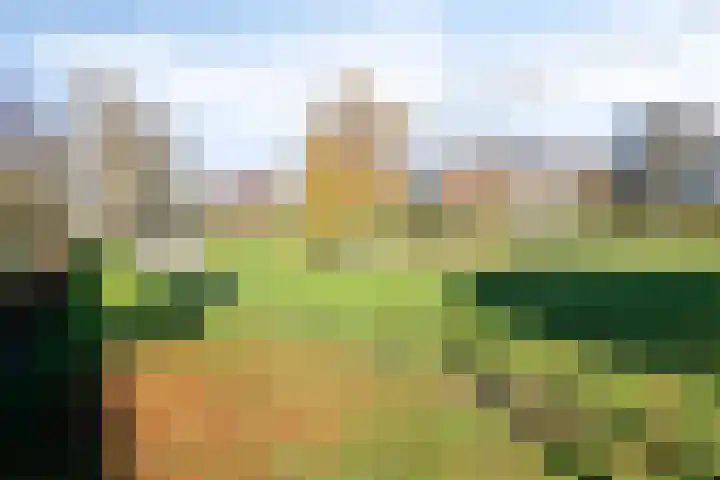 Kapellerlaan 149 Roermond thumbnail 46
