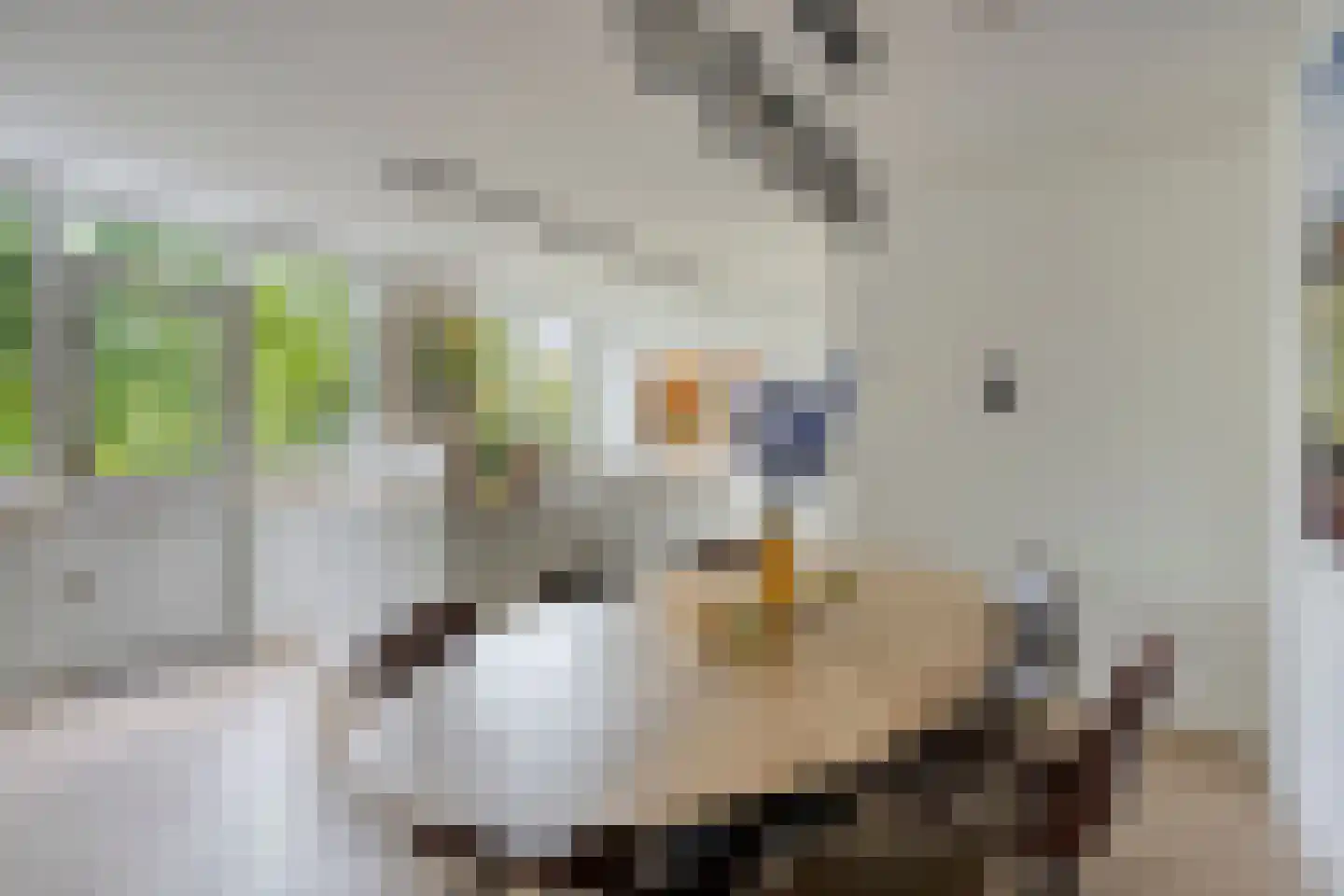 Kapellerlaan 186 Roermond thumbnail 23