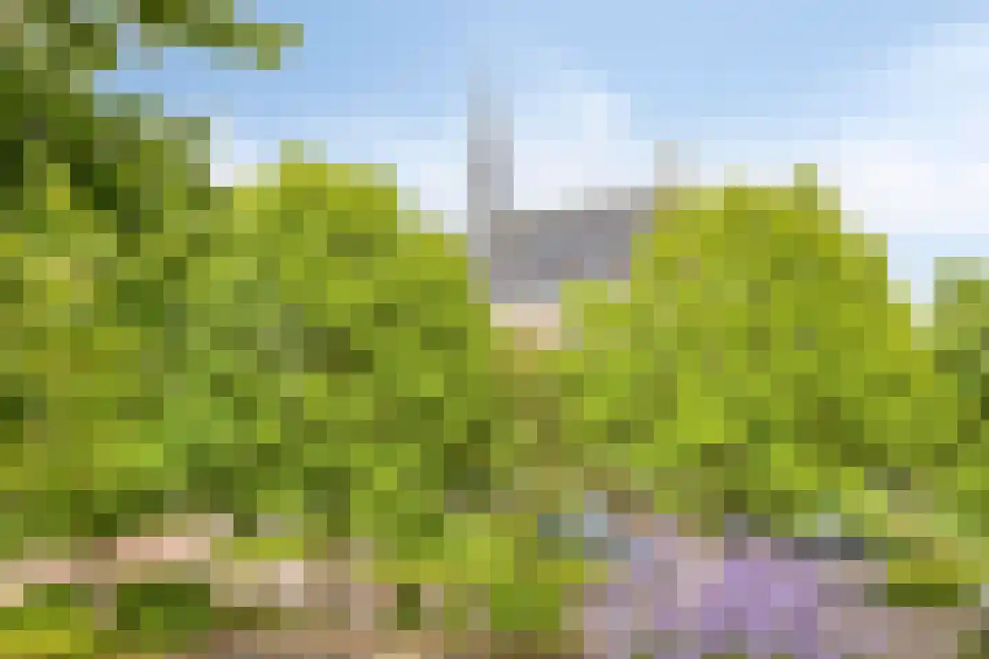 Kapellerlaan 186 Roermond thumbnail 36