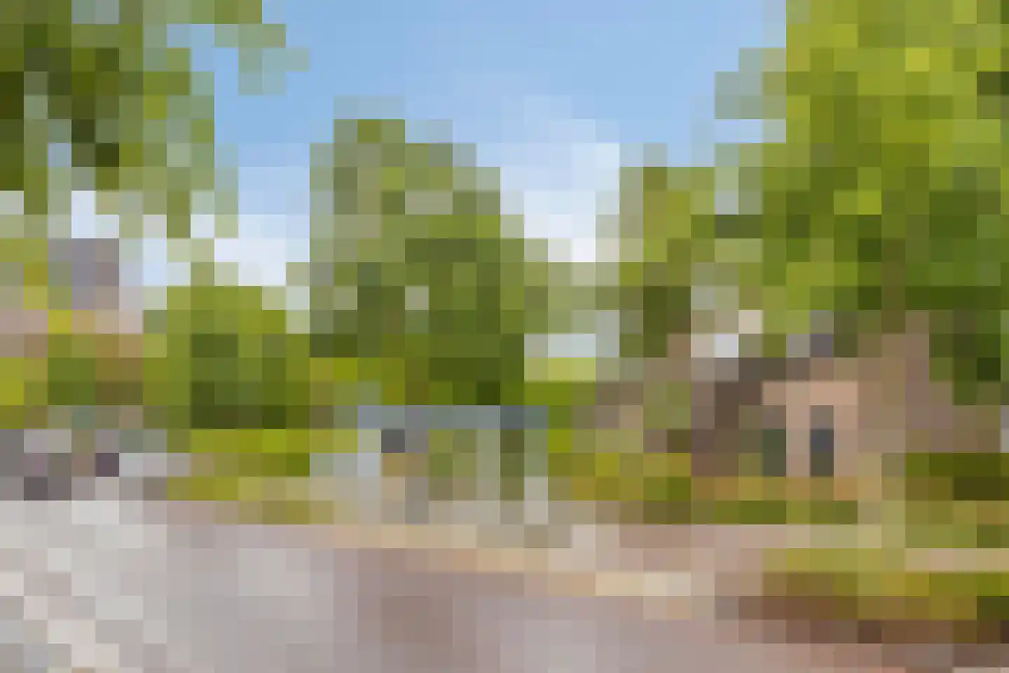 Kapellerlaan 186 Roermond thumbnail 48
