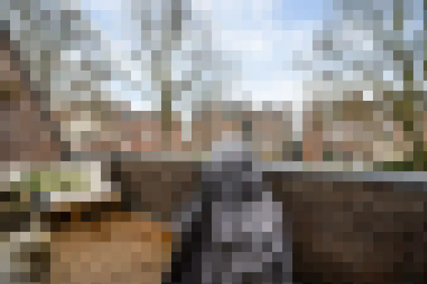 Kapellerlaan 188 Roermond thumbnail 13