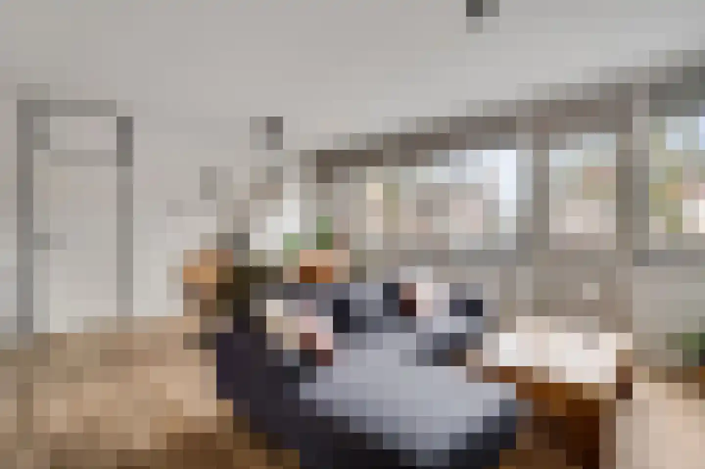 Kapellerlaan 188 Roermond thumbnail 7