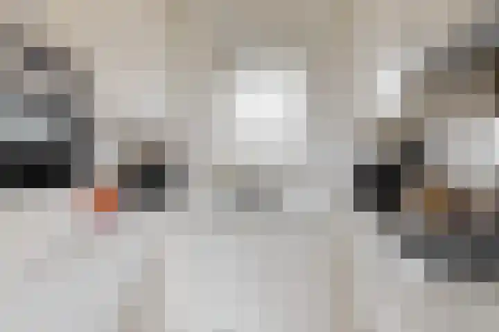 Kapellerlaan 192 Roermond thumbnail 18