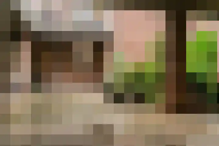 Kapellerlaan 192 Roermond thumbnail 29