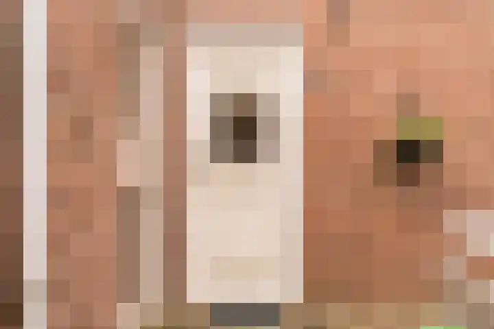 Kapellerlaan 192 Roermond thumbnail 8