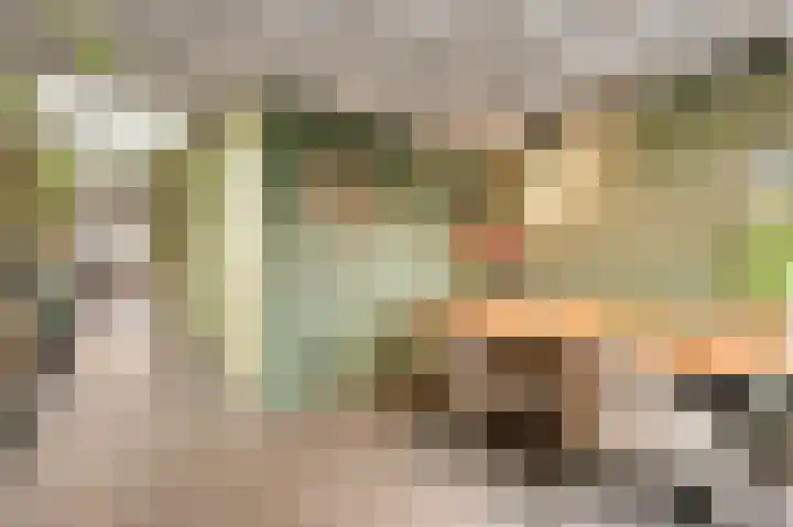 Kapellerlaan 221 Roermond thumbnail 11