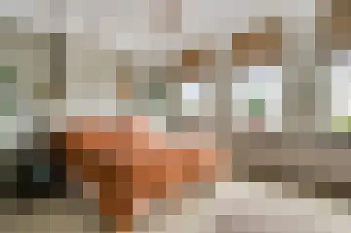 Kapellerlaan 221 Roermond thumbnail 17