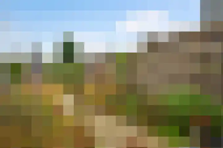 Kapellerlaan 221 Roermond thumbnail 24