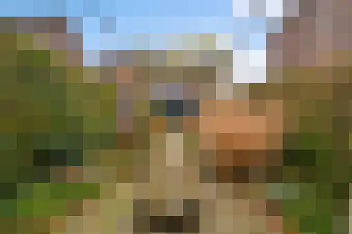 Kapellerlaan 221 Roermond thumbnail 26