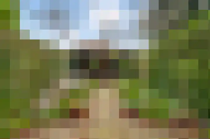 Kapellerlaan 221 Roermond thumbnail 27