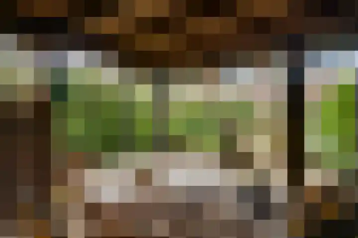 Kapellerlaan 221 Roermond thumbnail 29
