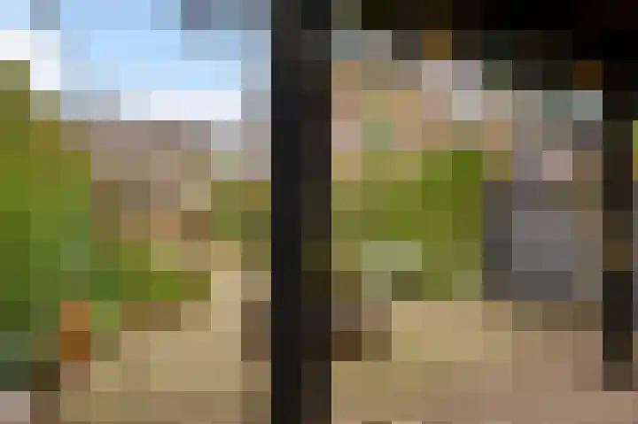 Kapellerlaan 221 Roermond thumbnail 30