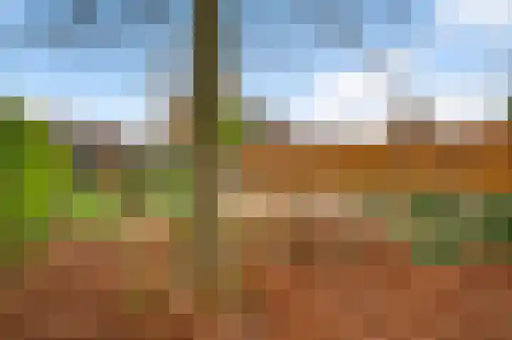 Kapellerlaan 221 Roermond thumbnail 32