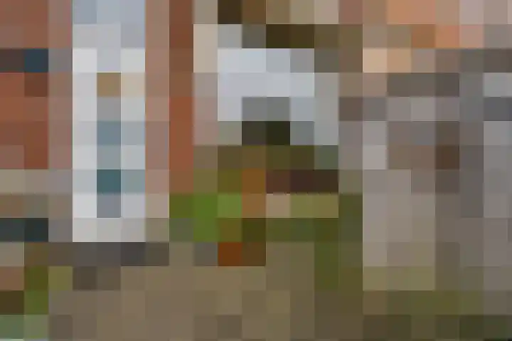 Kapellerlaan 221 Roermond thumbnail 4