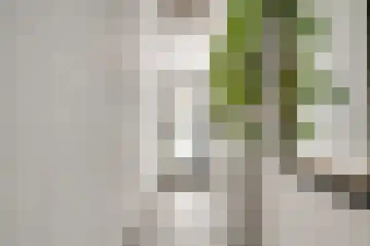 Kapellerlaan 221 Roermond thumbnail 5