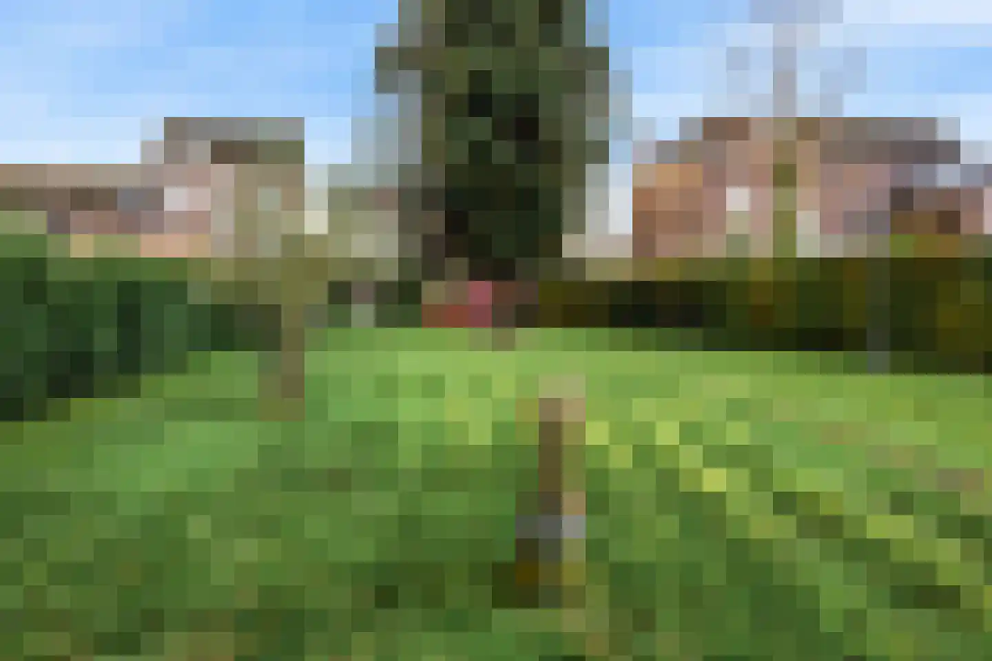Kapellerlaan 223 Roermond thumbnail 39