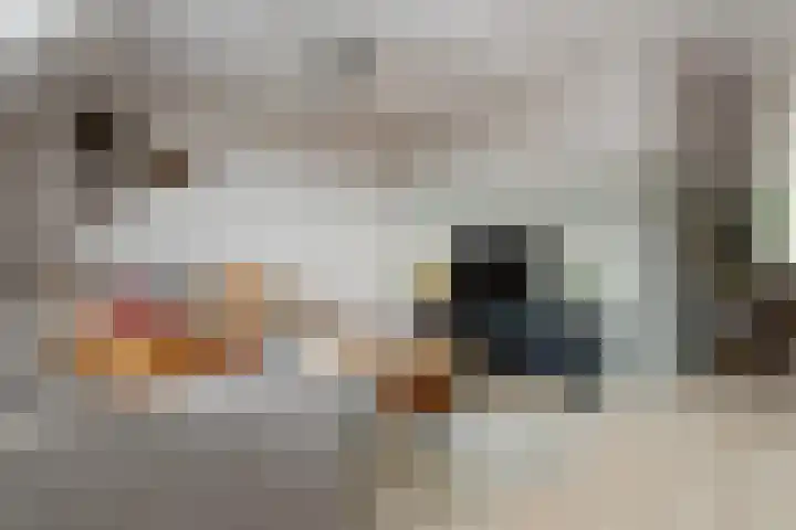 Kapellerlaan 251 B Roermond thumbnail 5
