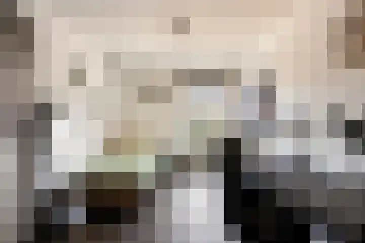 Kapellerlaan 255 Roermond thumbnail 30