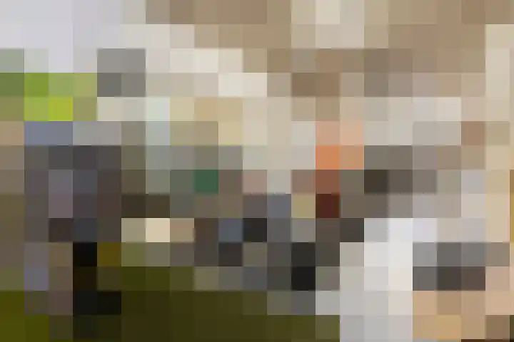 Kapellerlaan 255 Roermond thumbnail 33