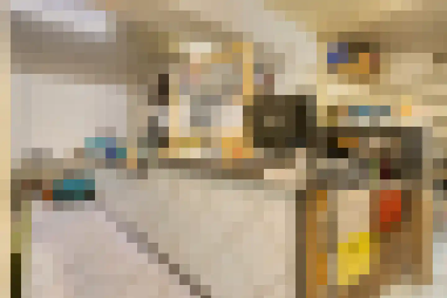 Kapellerlaan 255 Roermond thumbnail 35