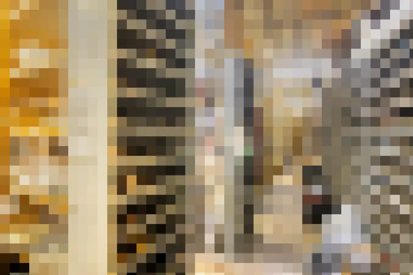 Kapellerlaan 255 Roermond thumbnail 36