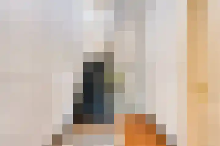 Kapellerlaan 255 Roermond thumbnail 4