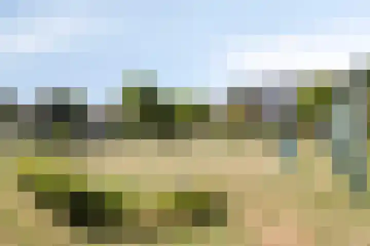 Kapellerlaan 255 Roermond thumbnail 43