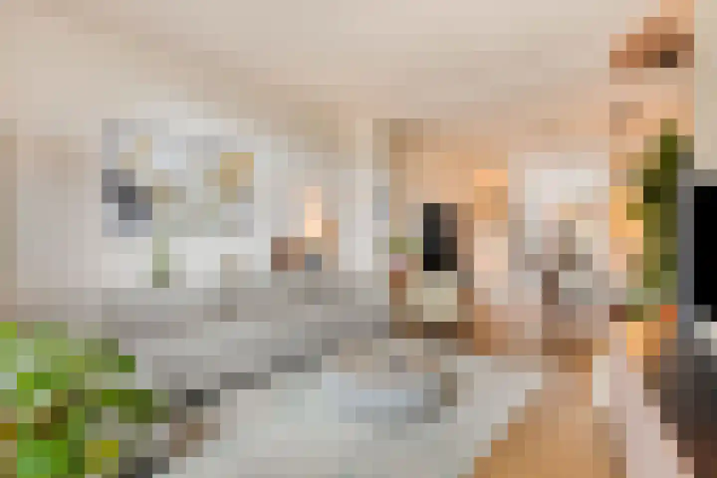 Kapellerlaan 259 Roermond thumbnail 11